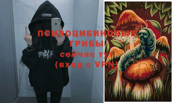 скорость Корсаков