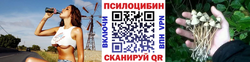 где найти наркотики  Назрань  Галлюциногенные грибы прущие грибы 