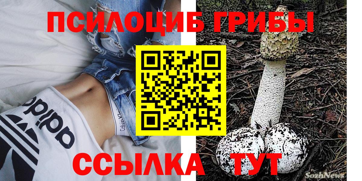 Назрань  Галлюциногенные грибы Psilocybine cubensis  Вход с VPN 